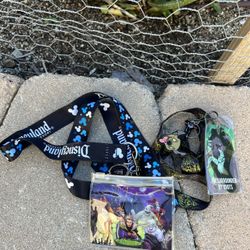 Disneyland Lanyards 