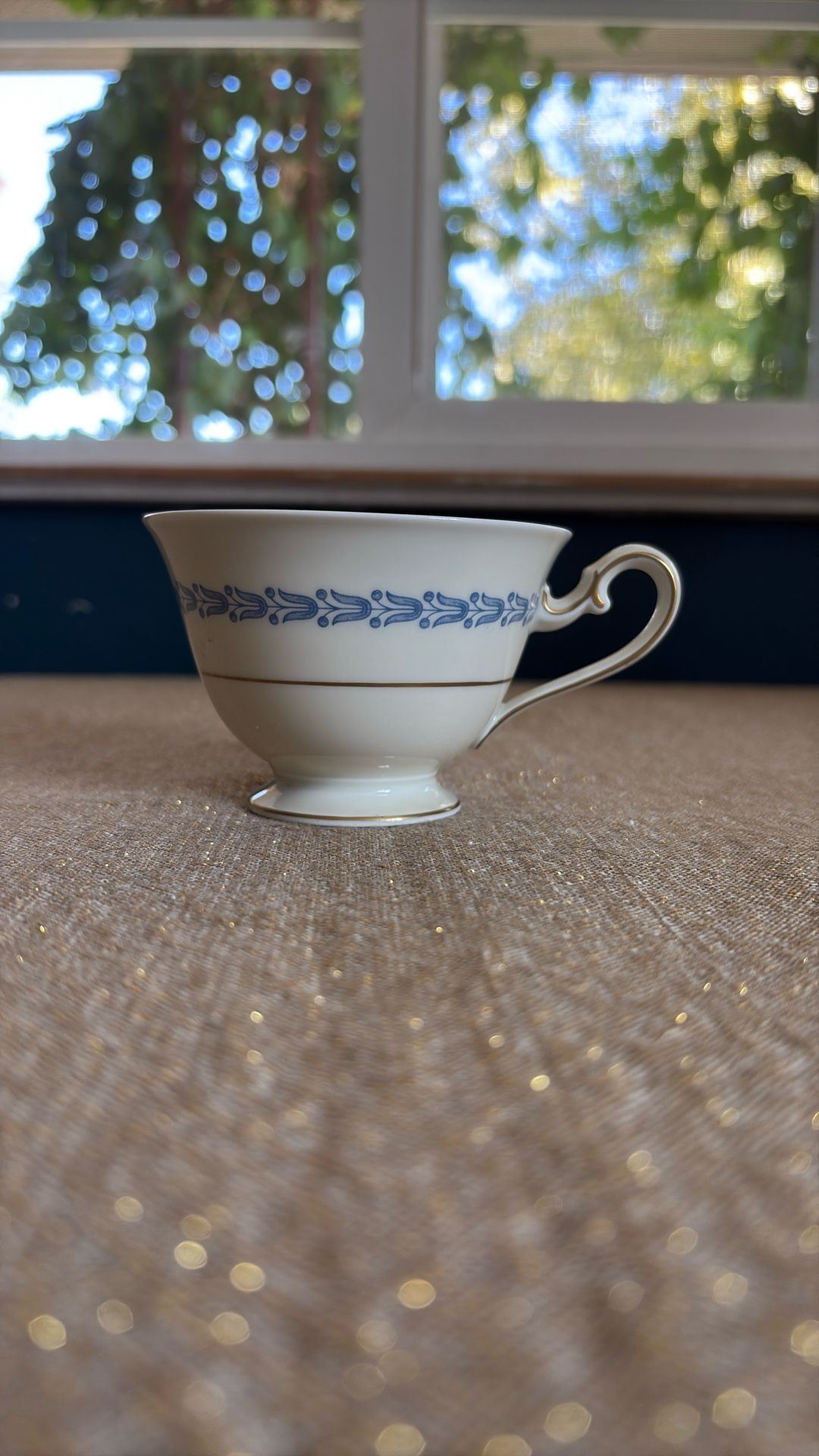 Bavaria Tirschenreuth Coronation fine china cup