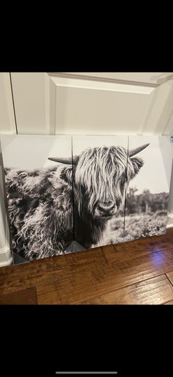 NEW Large 3 Piece Highland Cow Painting