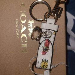 Coach Keychain Keyfob Bugs Print