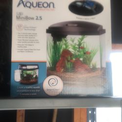 mini-bow aquarium 2.5