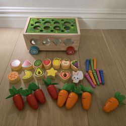 Wooden Shape Sorter Carrot Harvest Toy