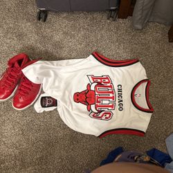 Chicago Bulls Jersey/Jordan 11S