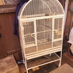 Birds Cage