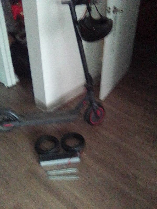 Adult Electric Scooter