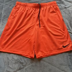 Nike Shorts Size 2xl