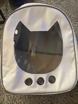 cat back pack