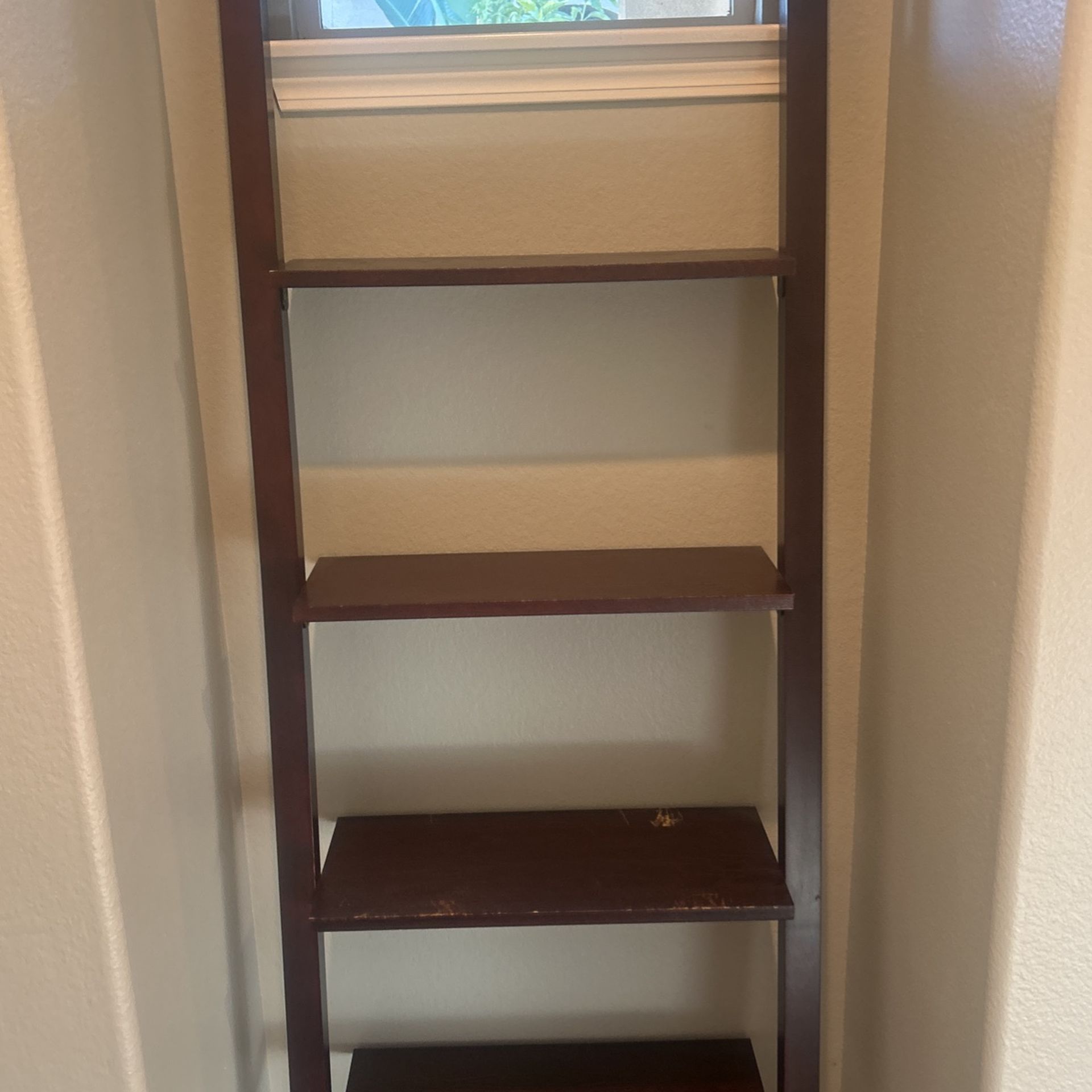 Ladder Shelf