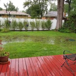 Flooded Back Yard