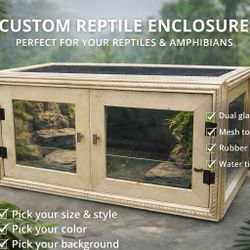  Custom Terrariums 