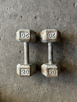 💰20lb Dumbbell💰