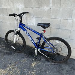 Schwinn santa monica bike 2025