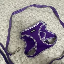 Medium Dog Harness With Leash Purple Color Like New 