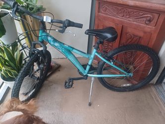 Bicicletas