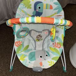 Baby Bouncer