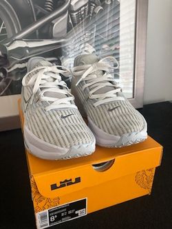 LeBron Witness VI