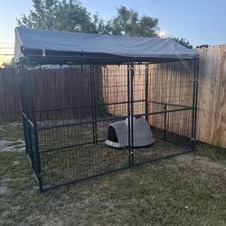 Dog Kennel 5X10