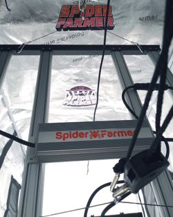 Spider Farmer SE3000 LED Grow Light - 300W (2025 Like New w/ Box)