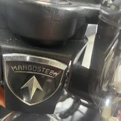 Mamgosteen Electric Scooter 