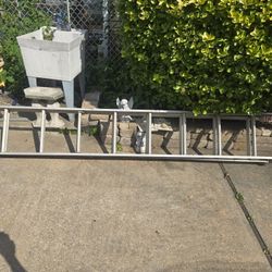 Ladder 