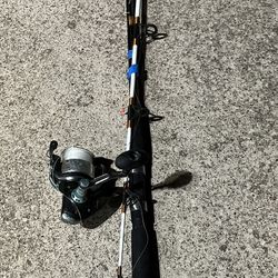 Fishing Rod And Reel