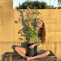 Fruiting Mulberry Tree *exact species unknown* 