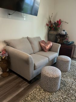 Light gray loveseat