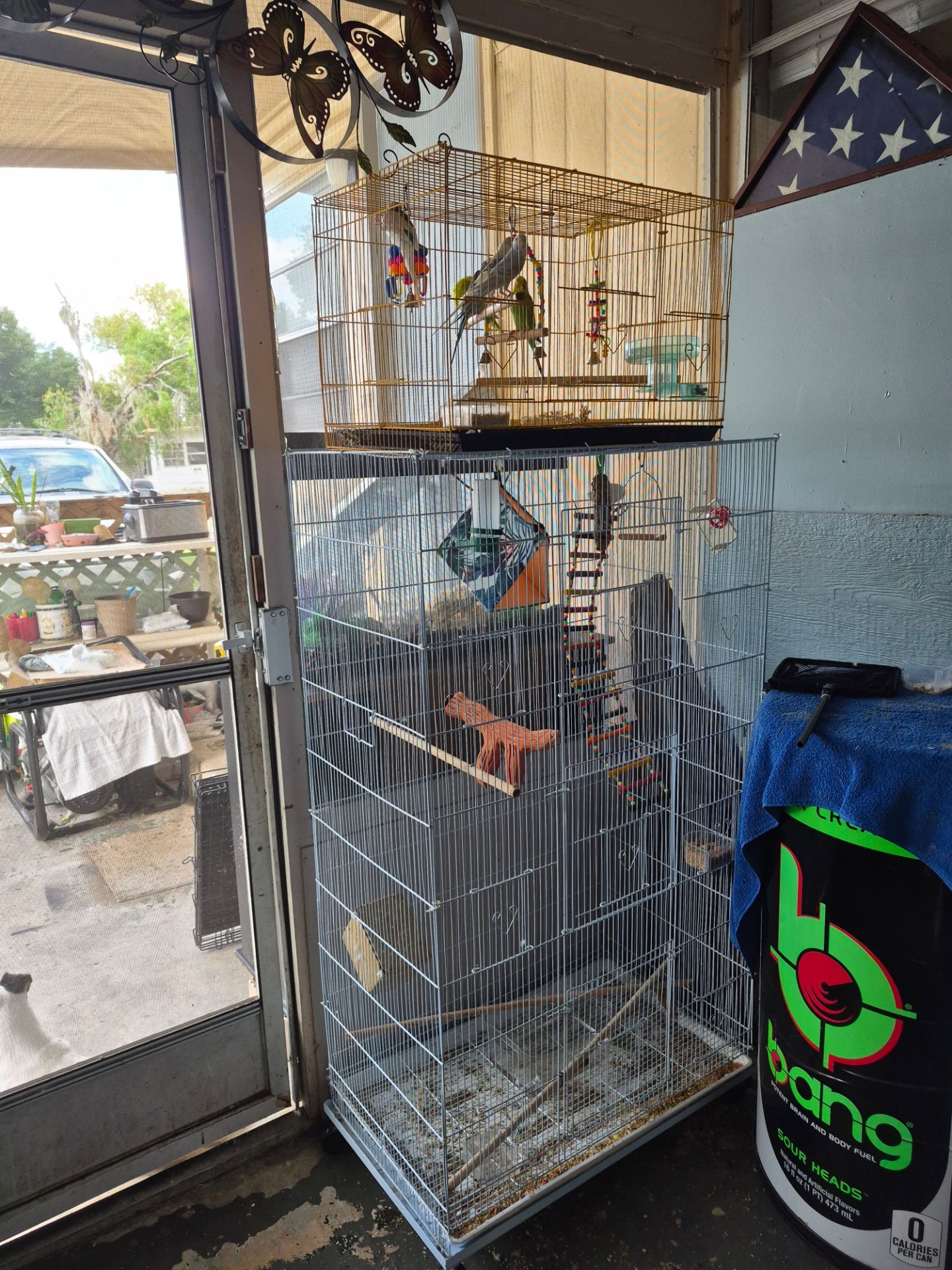 Bird cage