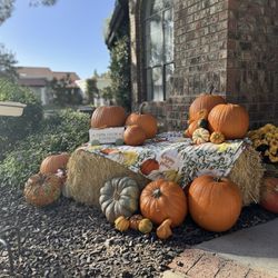 Pumpkin Porch Decorating Services