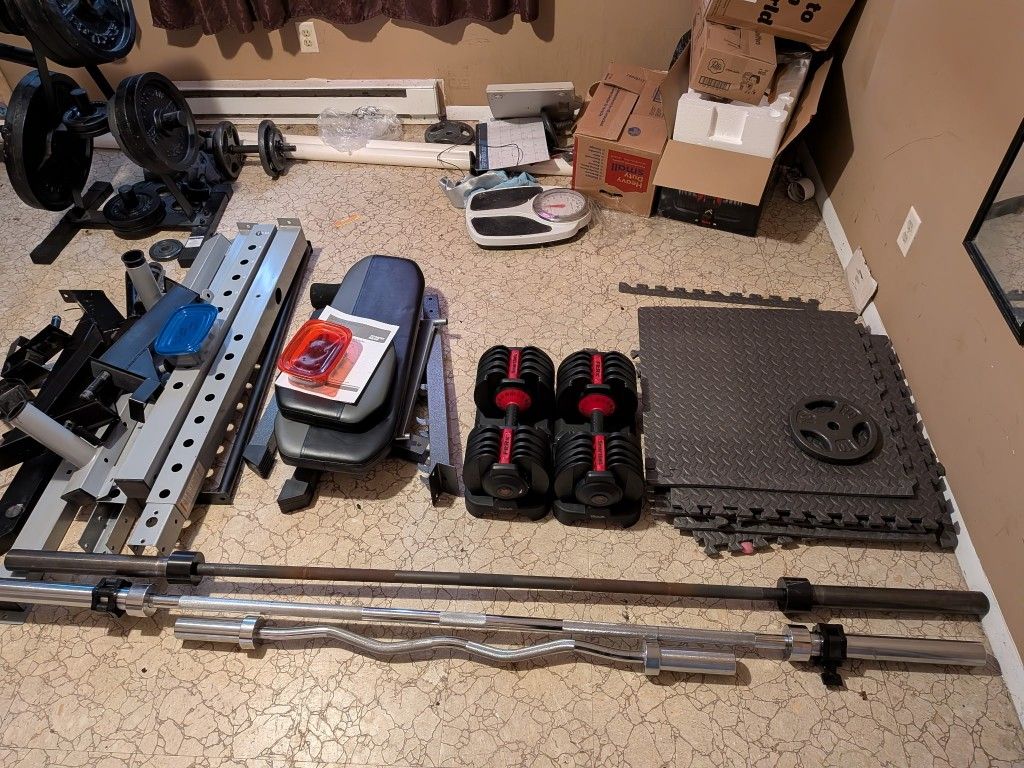 EVERYTHING MUST GO! Gym Equipment