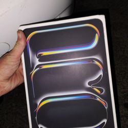 iPad Pro 11 Inch 256 GB