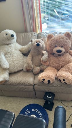 Soft toy bears. $19each.