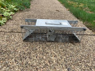 Small animal trap