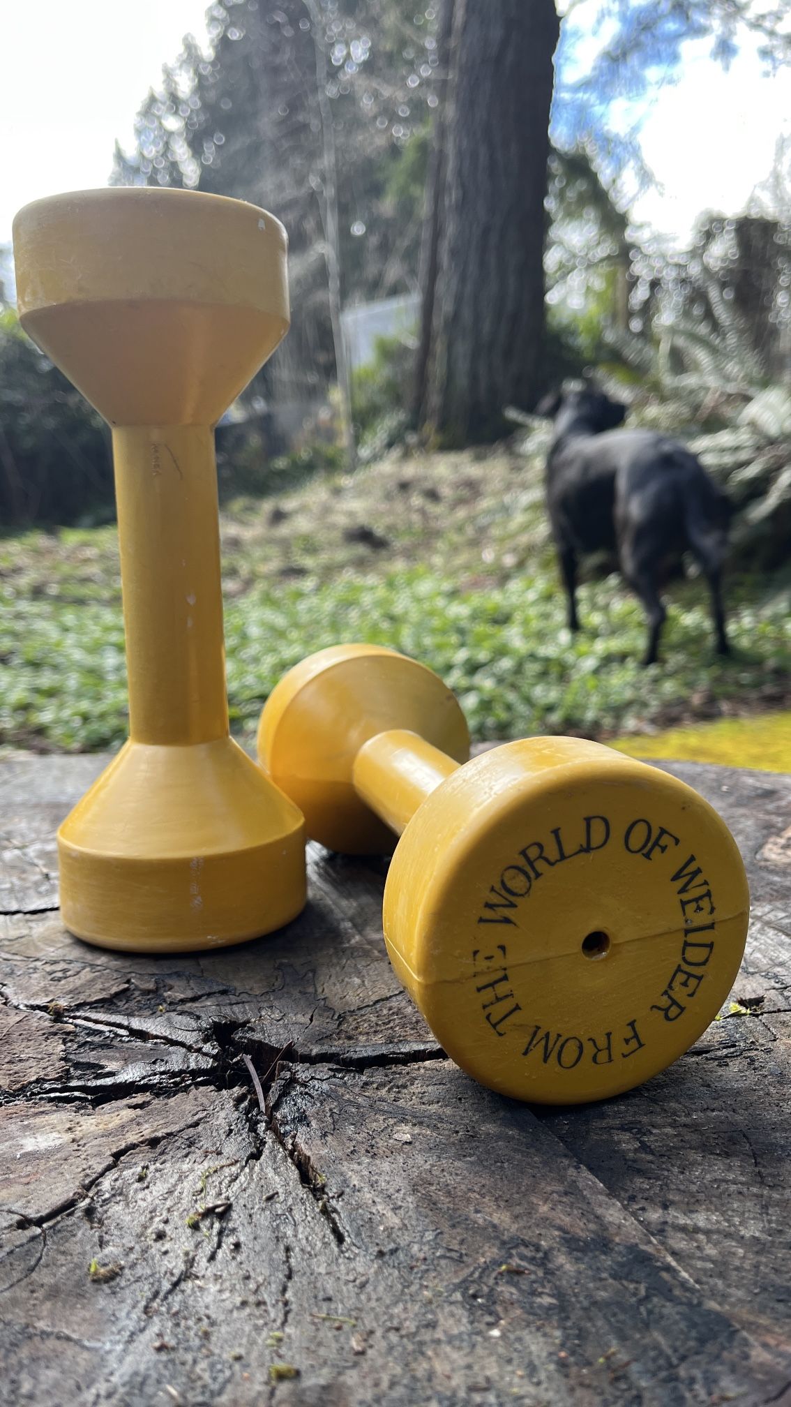 4.15 lb Dumbbells