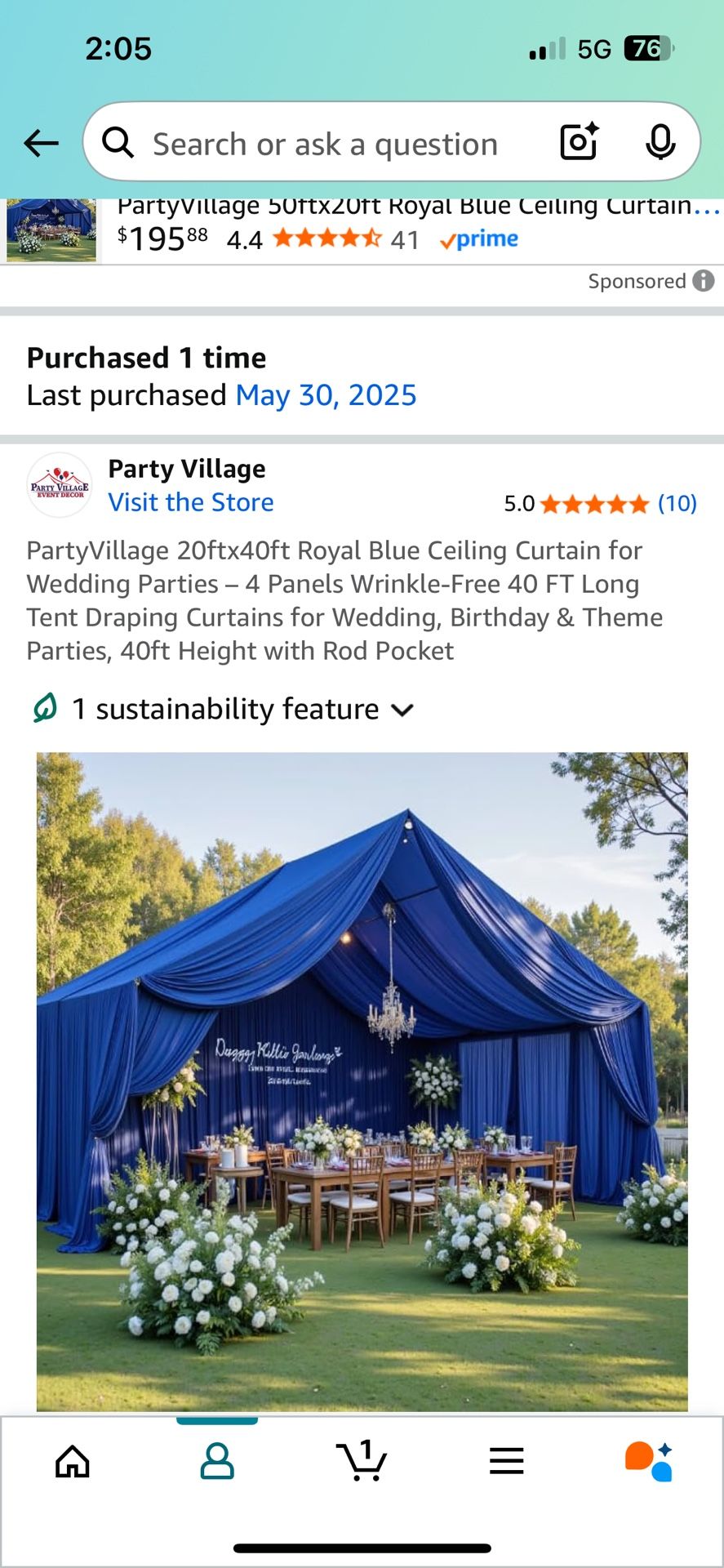 Ceiling Curtains (party)