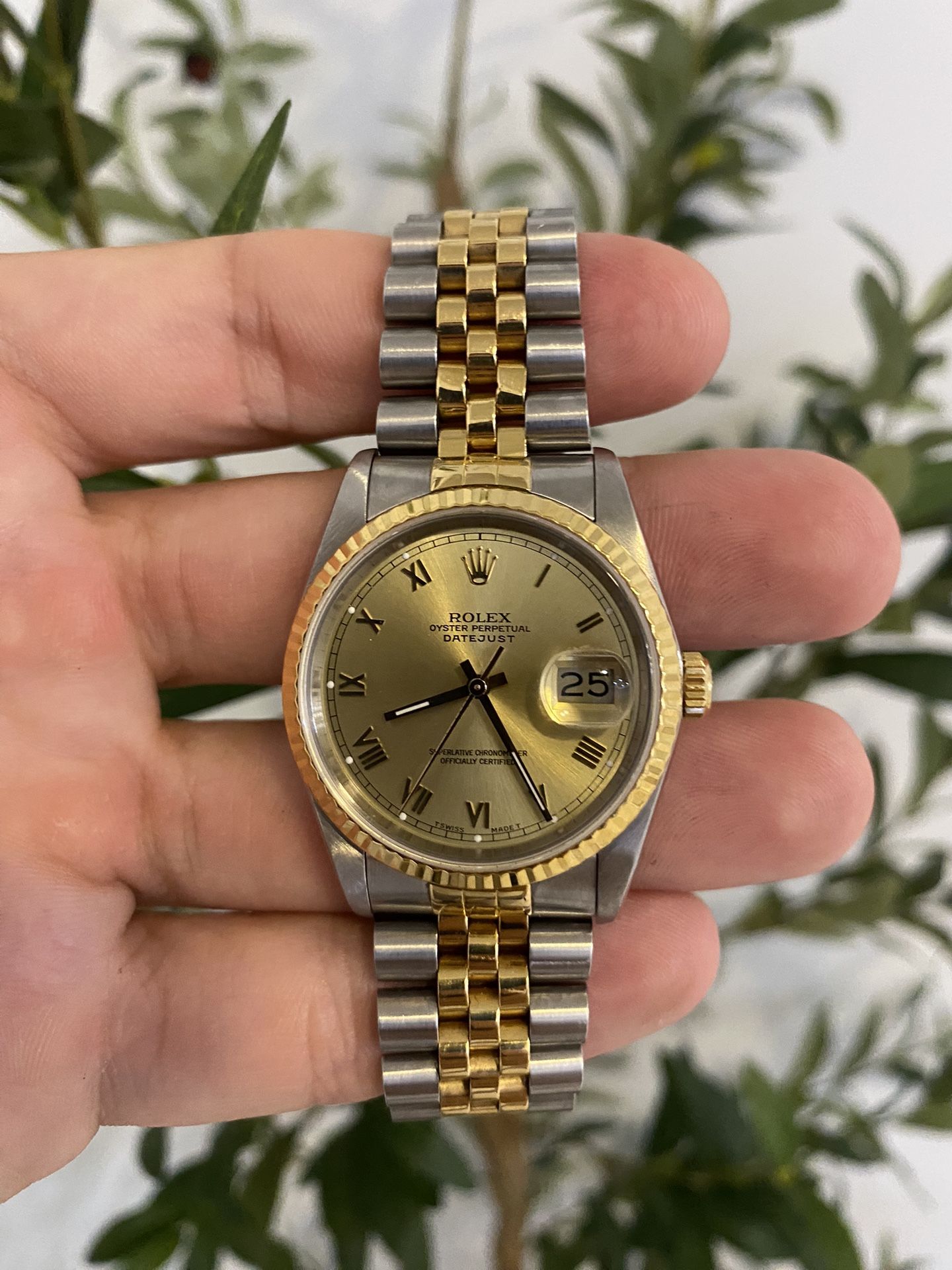 Rolex Datejust 36MM