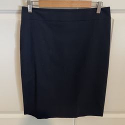 Ann Taylor Pencil Skirt Size 6