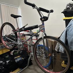 Old School 1981' BMX Cruiser Gary Littlejohn Lowboy Survivor Race Bike