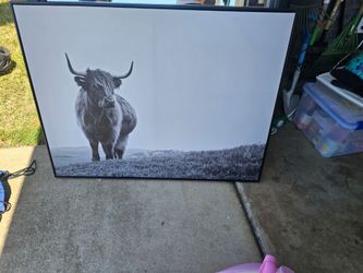 Bull Canvas Art