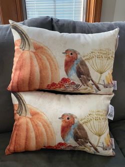 Fall Harvest Throw Pillows Set of 12x18