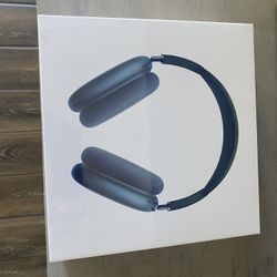 AirPod Max Headphones 