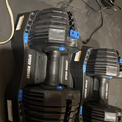 Nordic Track Adjustable Dumbells