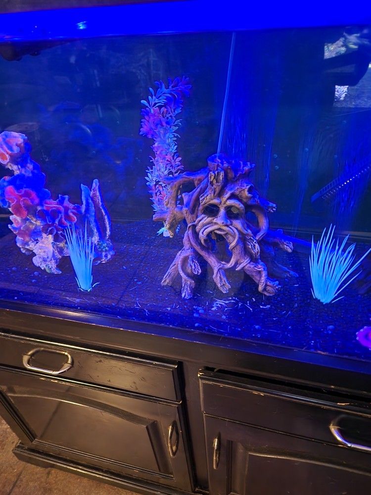 fish tank w/stand