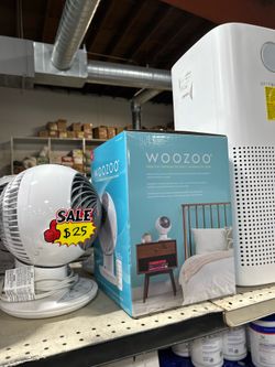 Woozoo 5 speed globe fan