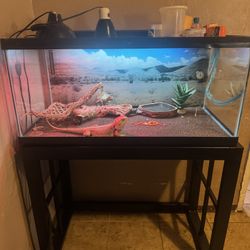 Aquarium Tank And Stand 