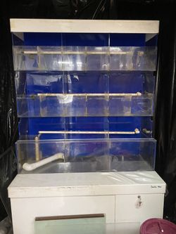 Clarity plus aquarium (Store System Setup)