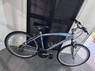 Schwinn (needs repair)