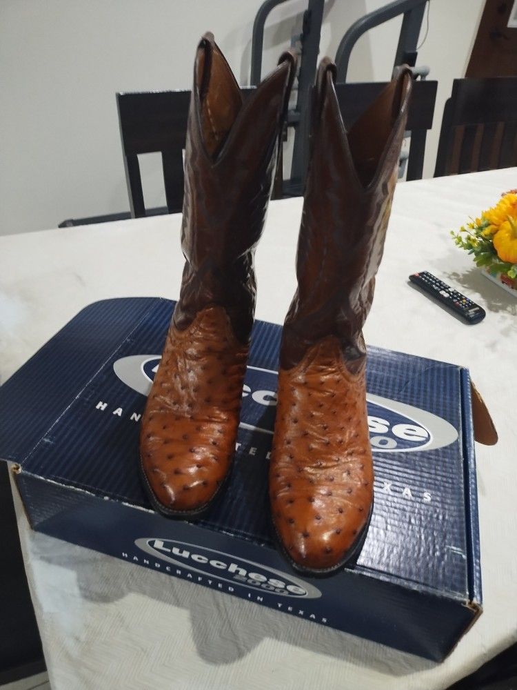 Botas De Avestruz Lucchese