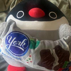 Squshmallow York Addition 