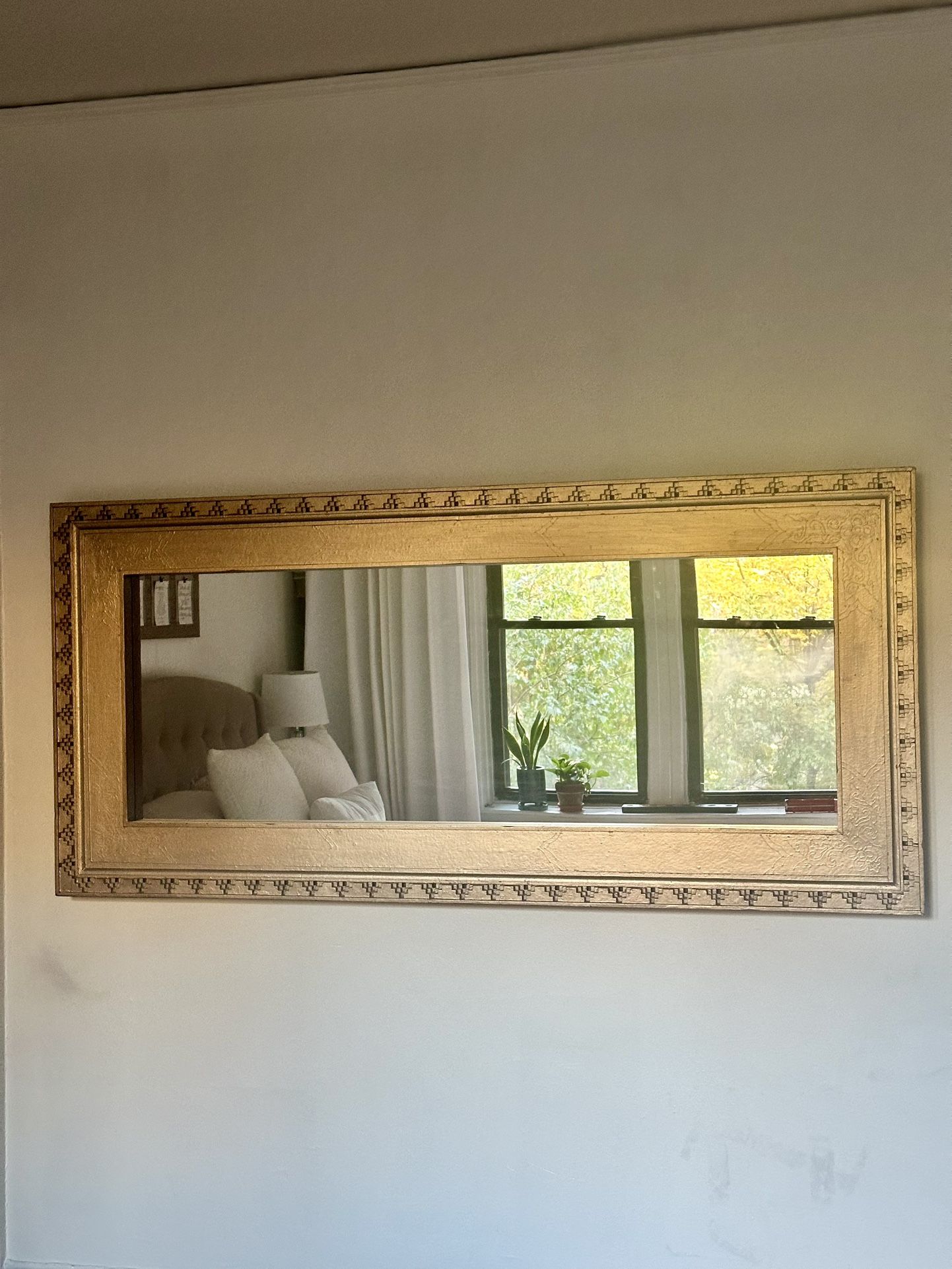 Pier 1 Imports Long Mirror 